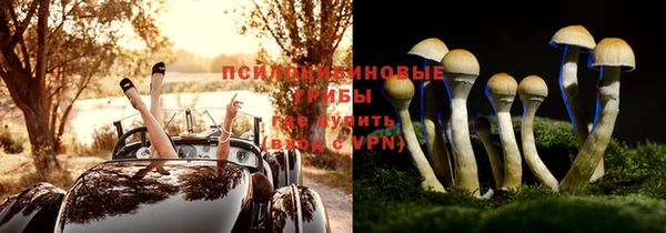 тгк Няндома