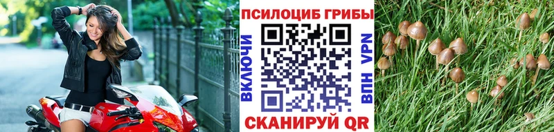 Галлюциногенные грибы мухоморы  omg ссылка  Богданович  закладки 