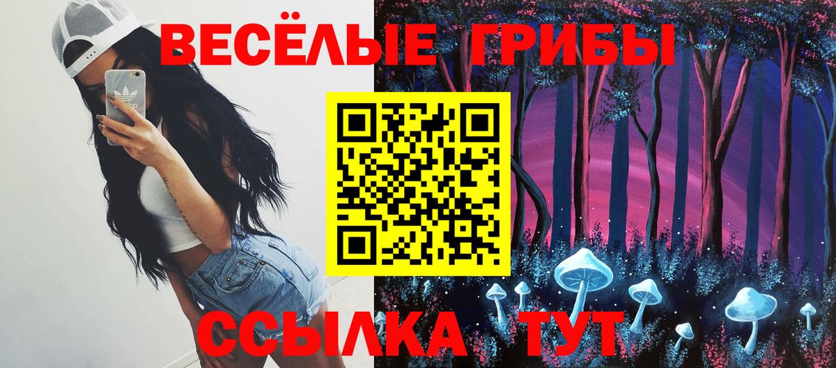 Галлюциногенные грибы GOLDEN TEACHER Богданович