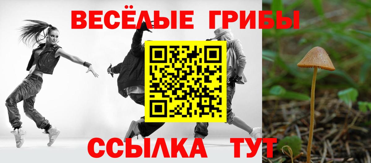 Псилоцибиновые грибы GOLDEN TEACHER  Вход с VPN  Богданович  Псилоцибиновые грибы прущие грибы 